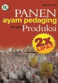 Panen Ayam Pedaging Dengan Produksi 2 X Lipat